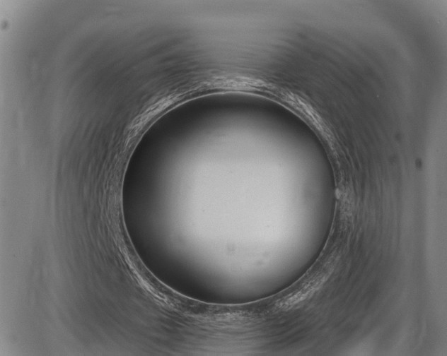 X0000086070433200703301110