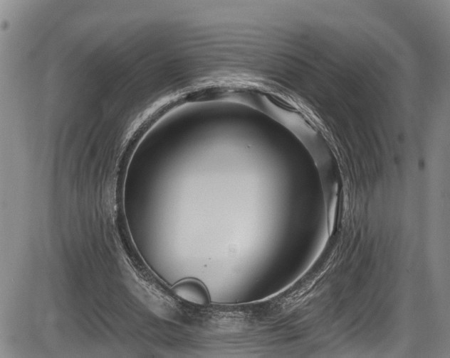 X0000086070438200703301110