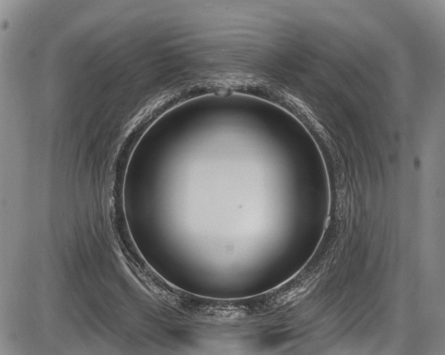 X0000086070443200703301110