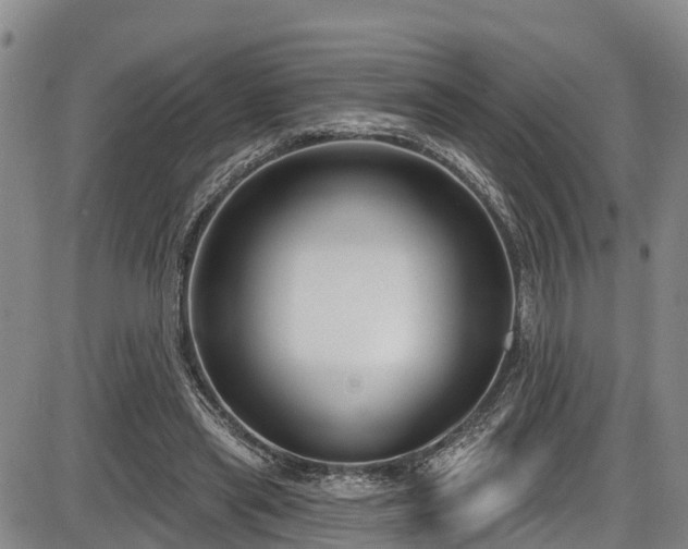 X0000086070445200703301110