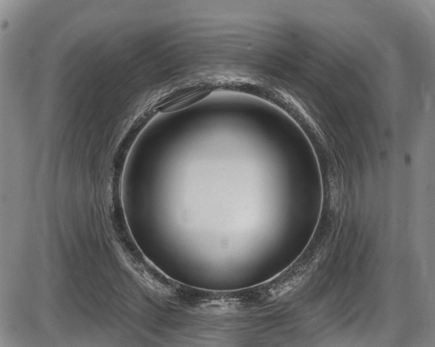 X0000086070447200703301110