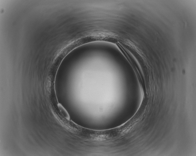X0000086070448200703301110