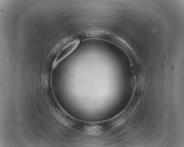 X0000086070452200703301110