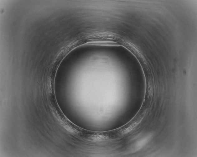 X0000086070453200703301110