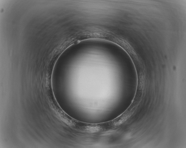 X0000086070457200703301111