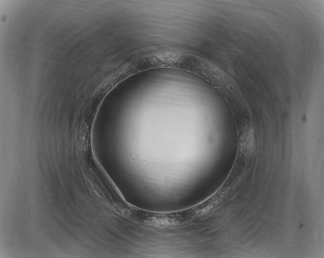 X0000086070464200703301111