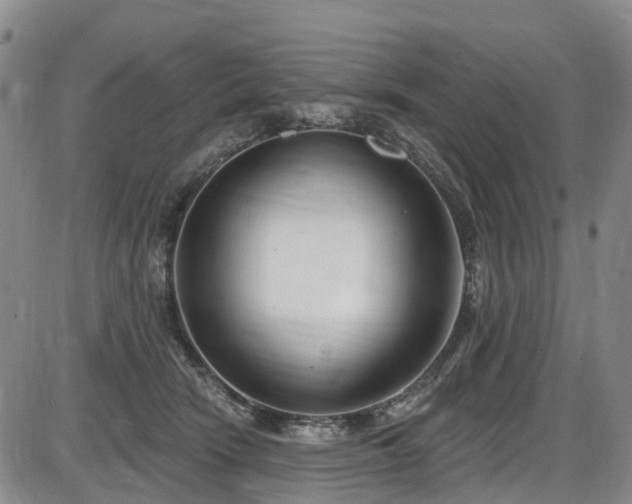 X0000086070466200703301111