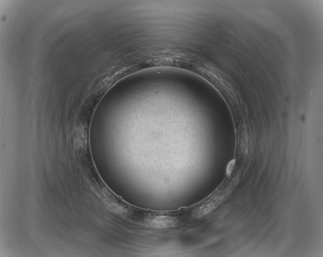 X0000086070467200703301111