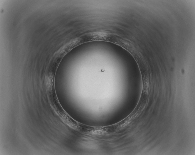 X0000086070468200703301111