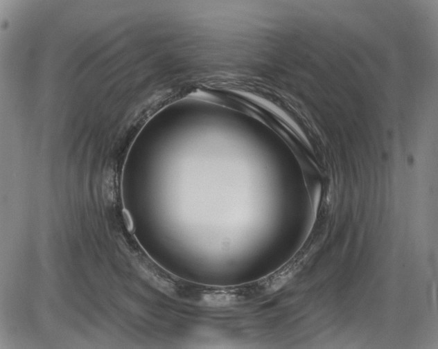 X0000086070470200703301111