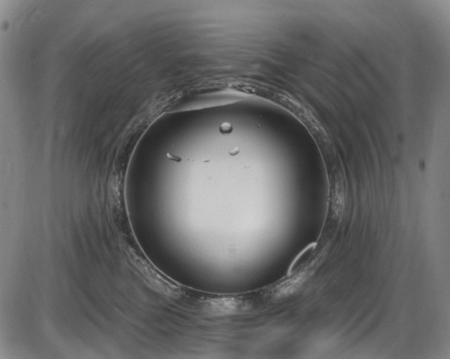 X0000086070473200703301111