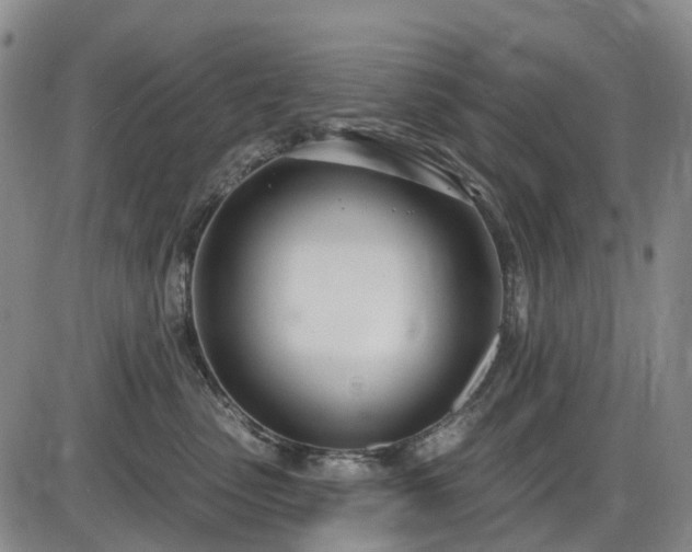 X0000086070475200703301111