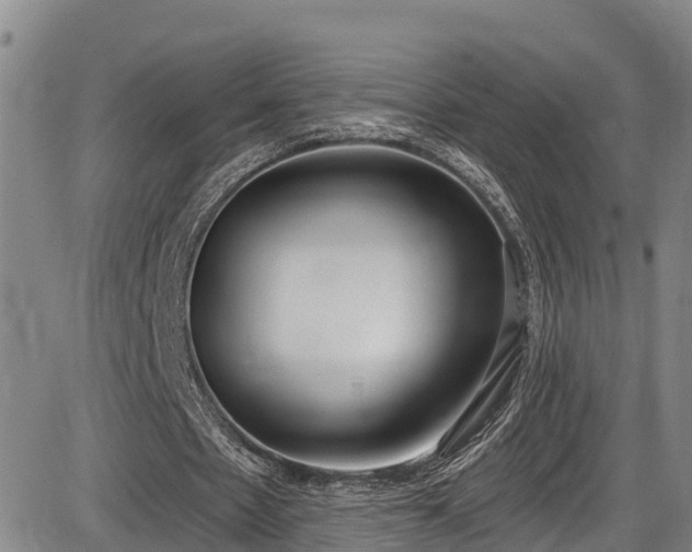 X0000086070481200703301110