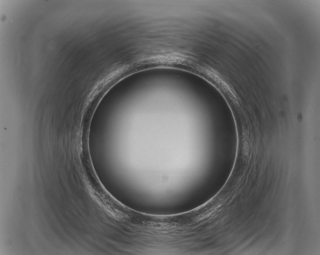 X0000086070486200703301110