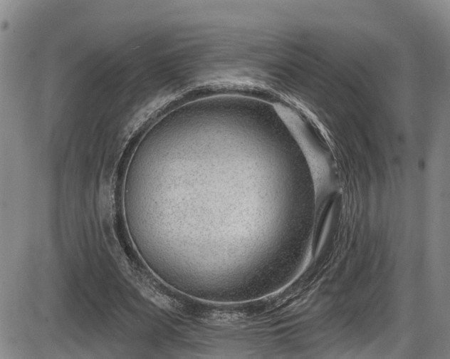 X0000086070487200703301110