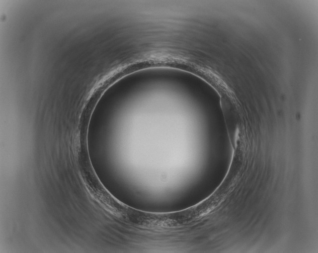 X0000086070488200703301110