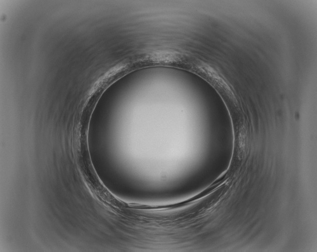 X0000086070492200703301110