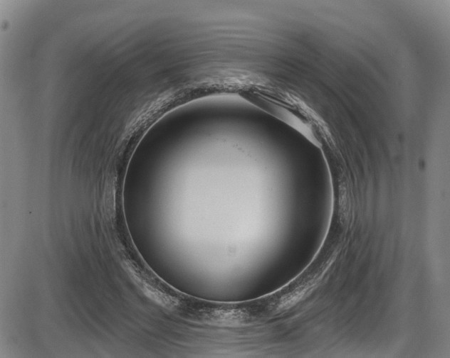 X0000086070493200703301110