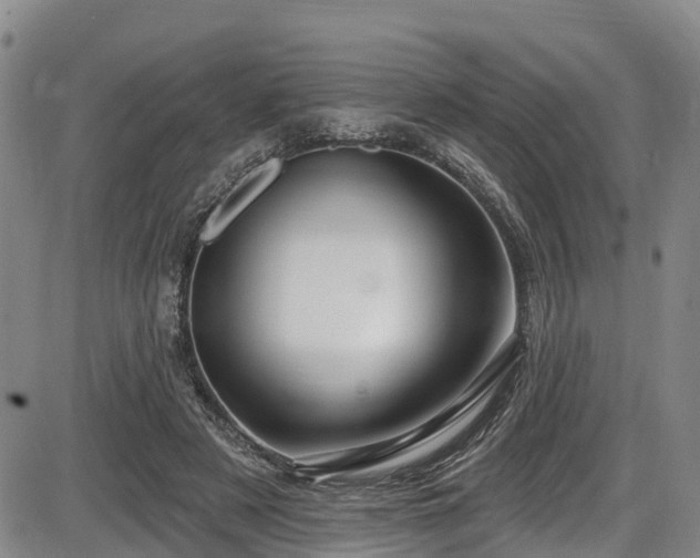 X0000086070497200703301110