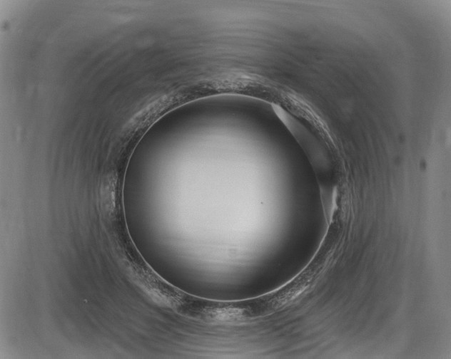 X0000086070501200703301110