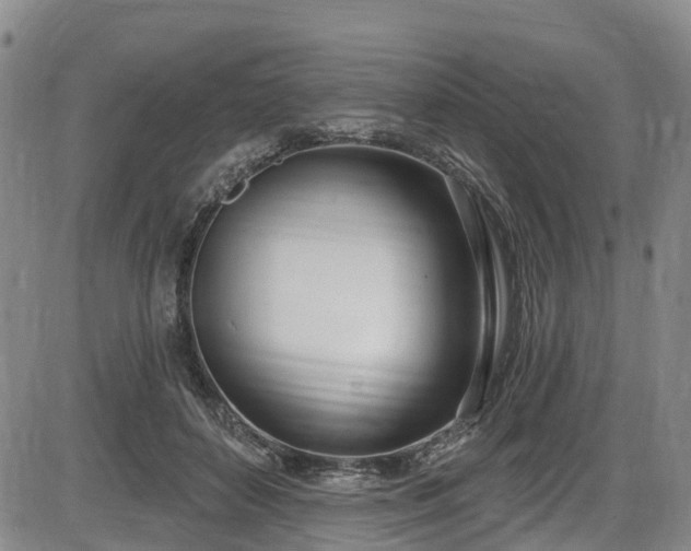 X0000086070504200703301110