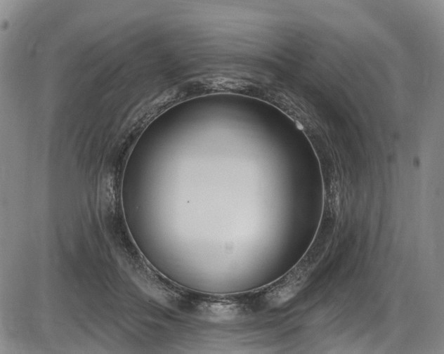 X0000086070506200703301110
