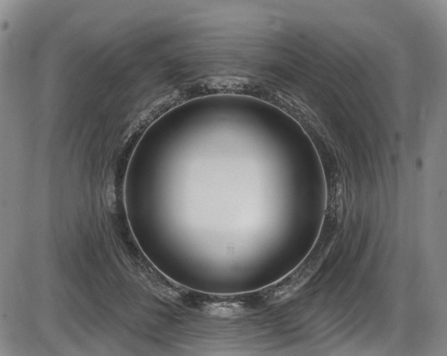 X0000086070508200703301110