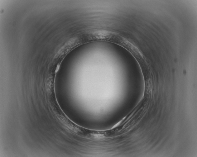 X0000086070509200703301110