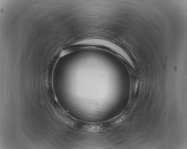 X0000086070512200703301110
