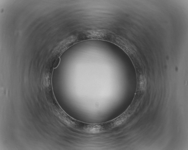 X0000086070514200703301110