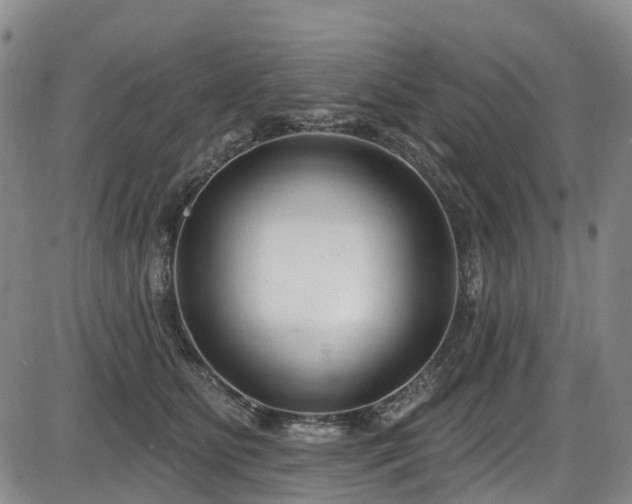 X0000086070515200703301110