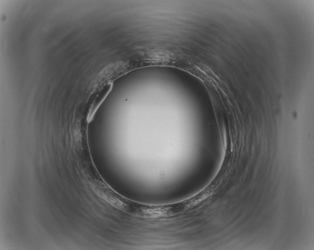 X0000086070516200703301110