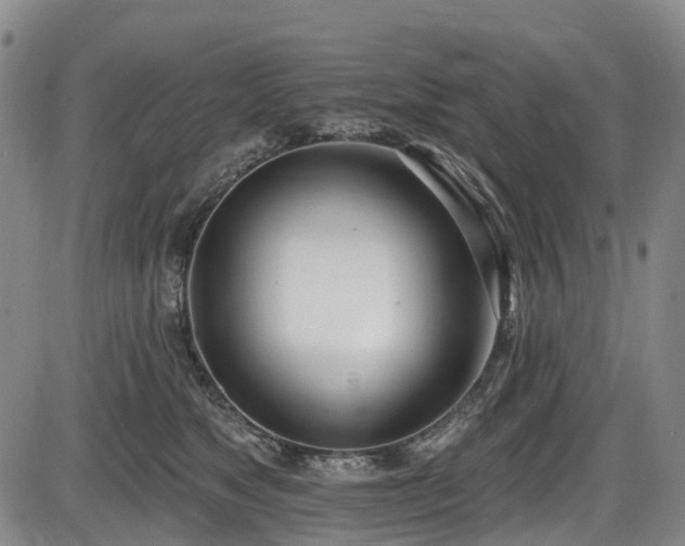 X0000086070517200703301110