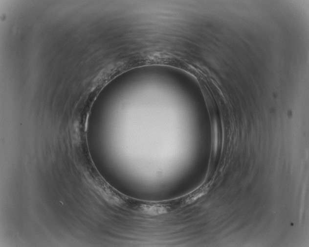 X0000086070520200703301109