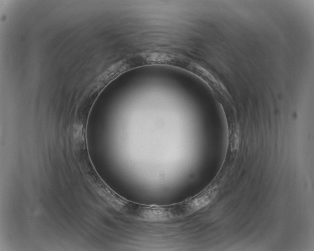 X0000086070521200703301109