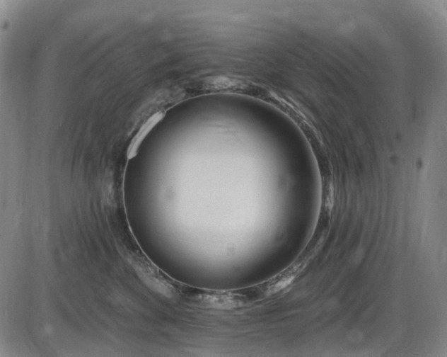 X0000086070524200703301109