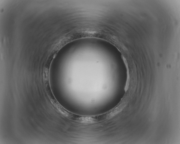 X0000086070528200703301109