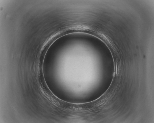 X0000086070531200703301109