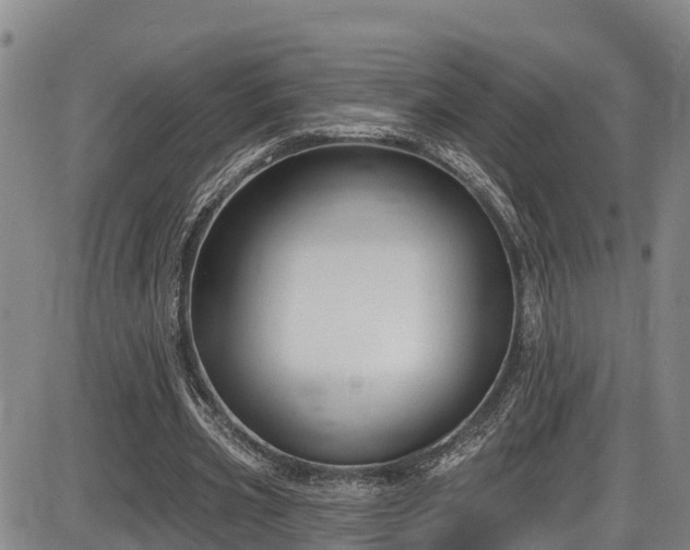 X0000086070533200703301109