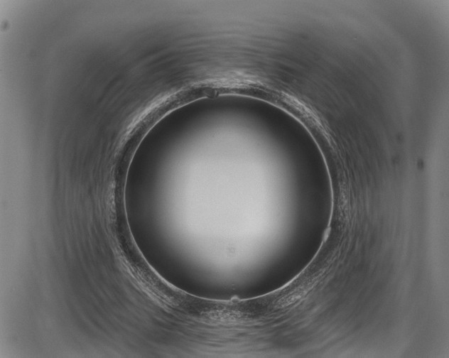 X0000086070535200703301109