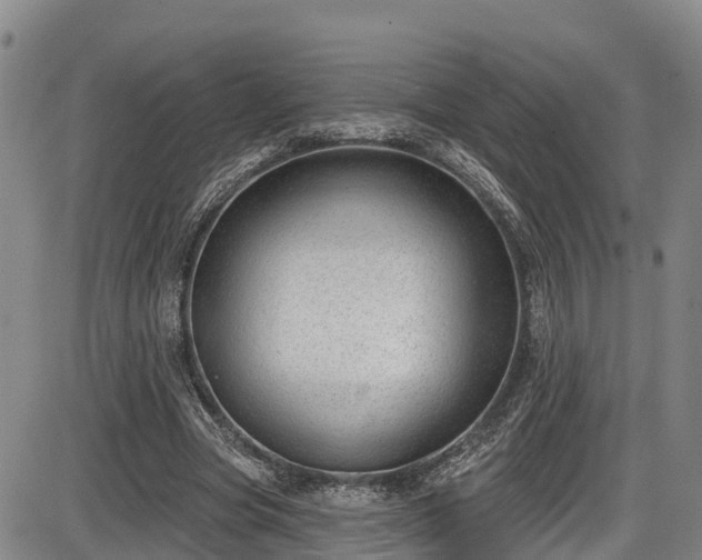 X0000086070537200703301109