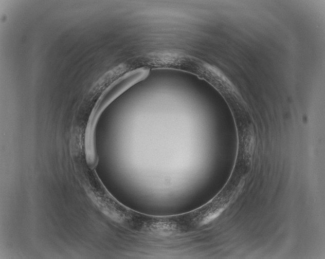 X0000086070546200703301109
