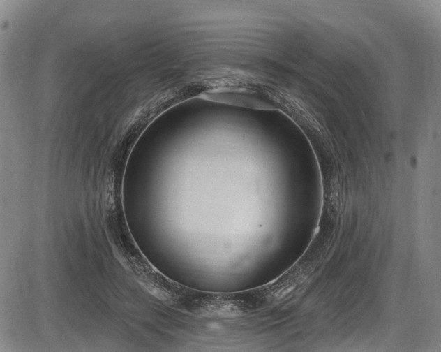 X0000086070547200703301109