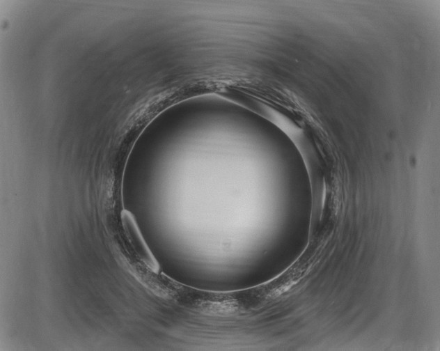 X0000086070548200703301109