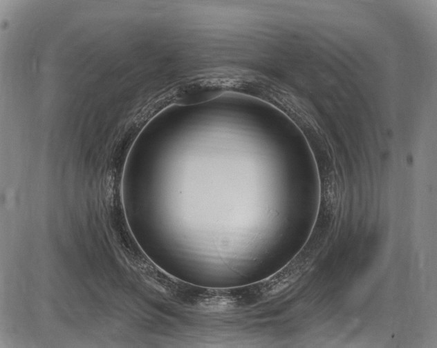 X0000086070551200703301109
