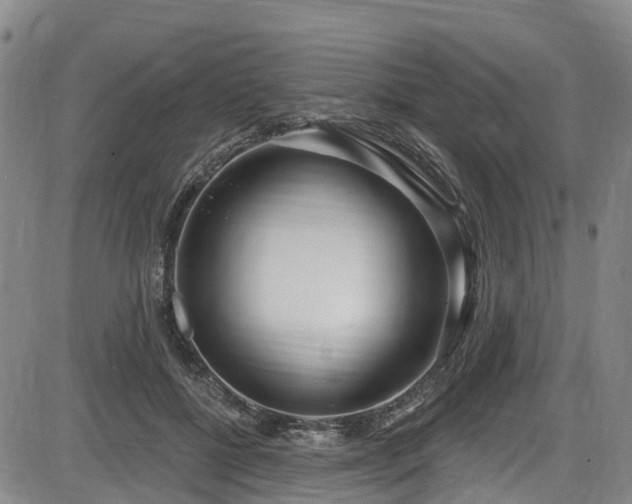 X0000086070552200703301109