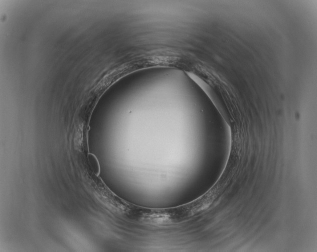 X0000086070554200703301109