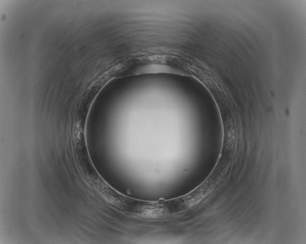 X0000086070555200703301109