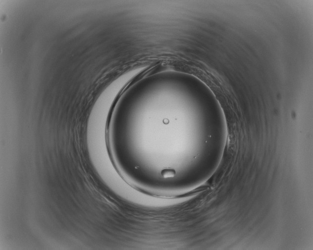 X0000086070558200703301109