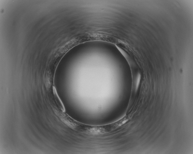 X0000086070566200703301109